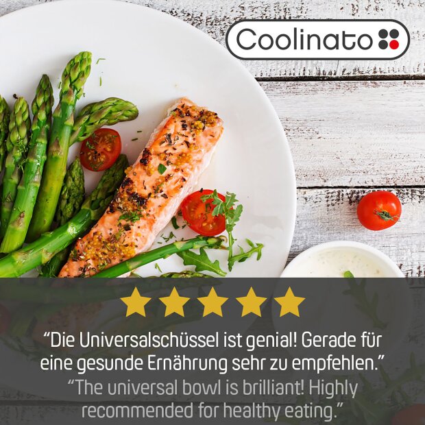 Coolinato Silikon 3in1 Universalschüssel GRAU mit Rezeptheft